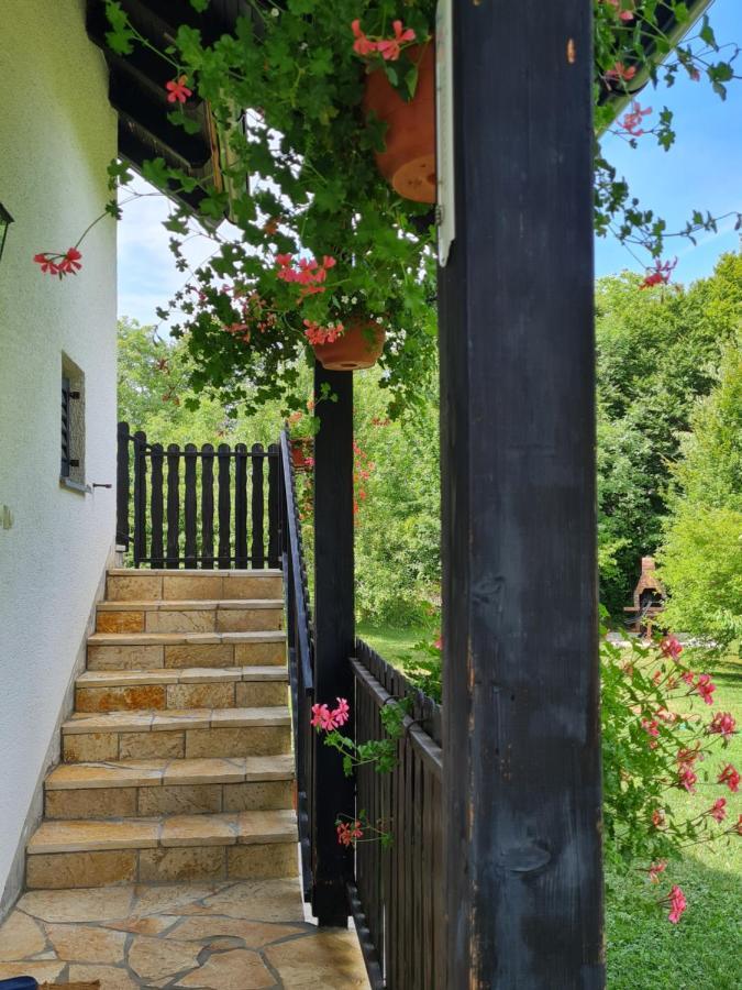 Apartman Poznanovic Apartment Rakovica Exterior photo